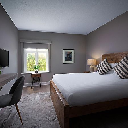Kilmurry Lodge Hotel Limerick Junction Dış mekan fotoğraf